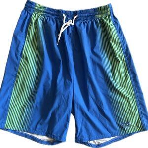 Nasty Pig Blue and Gray Shorts - Unlined - 30w … stretches to 36 x 20 length